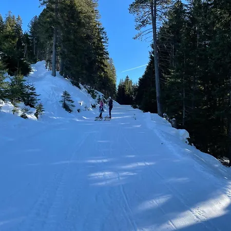 Сasa de vacaciones As Leitl